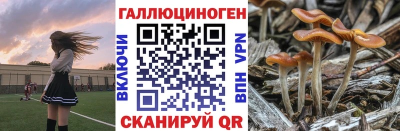 Галлюциногенные грибы GOLDEN TEACHER  Назарово 